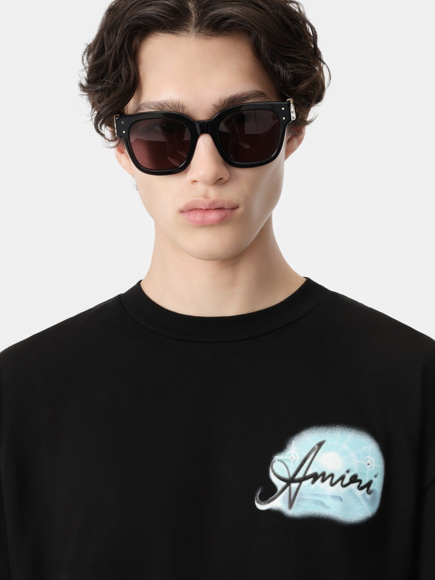 Amiri Paradise Airbrush Tee Tişört Erkek Siyah | LOA485217